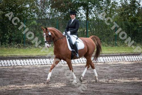 dressur-hohenbrunn-0222