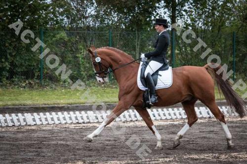 dressur-hohenbrunn-0224