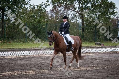 dressur-hohenbrunn-0231