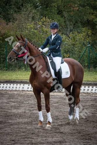 dressur-hohenbrunn-0257