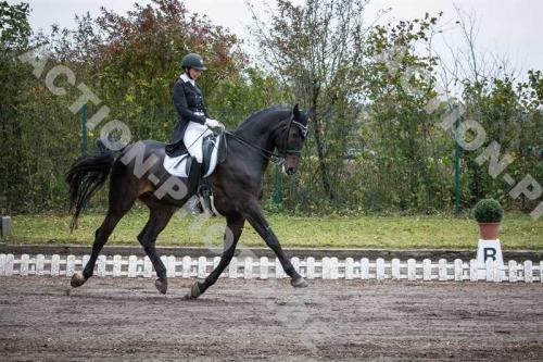 dressur-hohenbrunn-0267