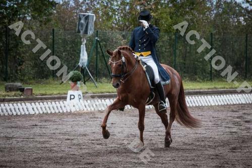 dressur-hohenbrunn-0297